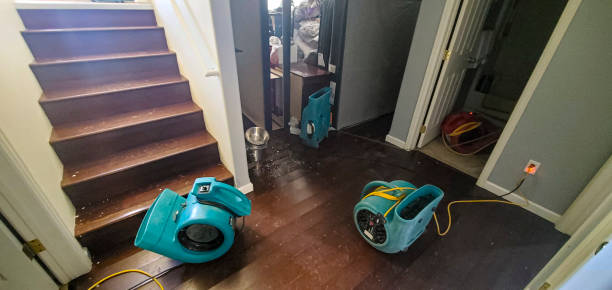  Debary, FL Water damage restoration Pros