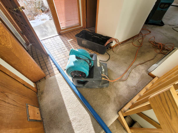 Local water damage restoration in Debary, FL
