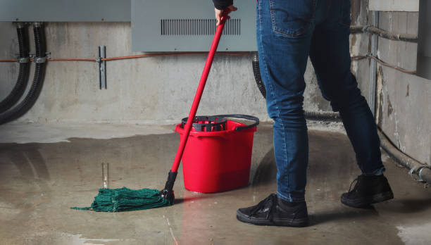 Best Water damage restoration cost  in Debary, FL