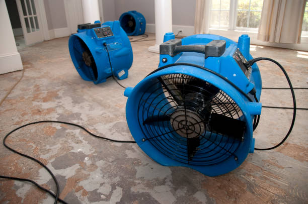 Professional Water damage restoration in Debary, FL