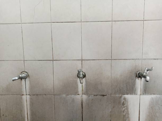 Best Ceiling water damage repair  in Debary, FL