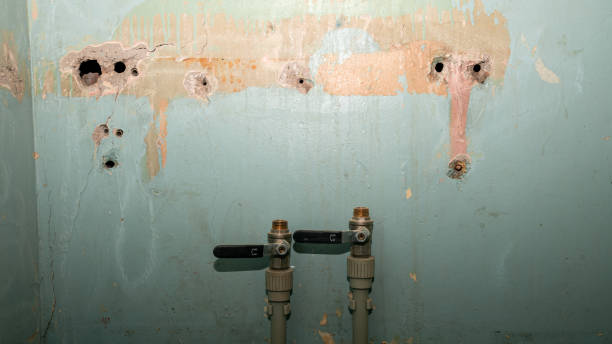 Best Emergency water damage restoration  in Debary, FL