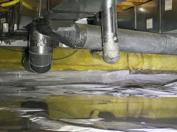 Best Flood restoration services  in Debary, FL