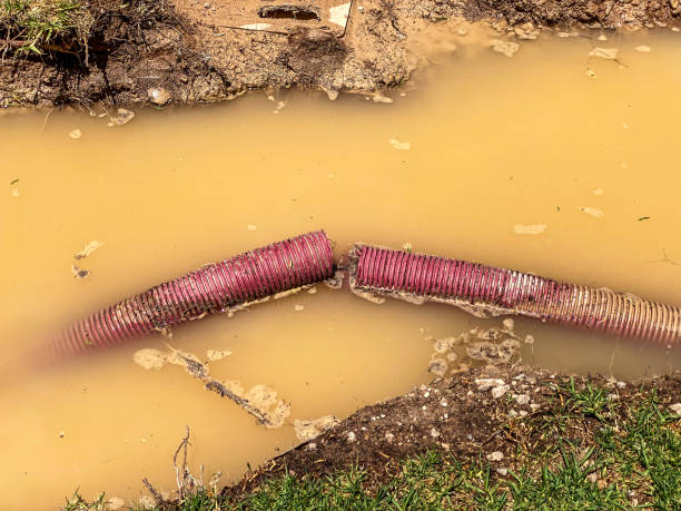 Best Water damage cleanup near me  in Debary, FL